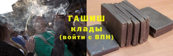 apvp Алзамай