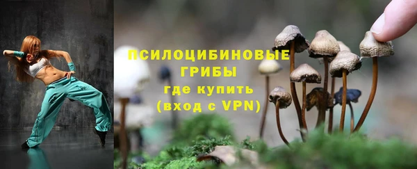 apvp Алзамай